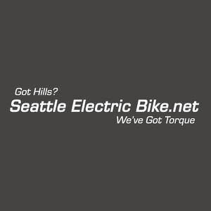 Team Page: Seattle Electric Bike
